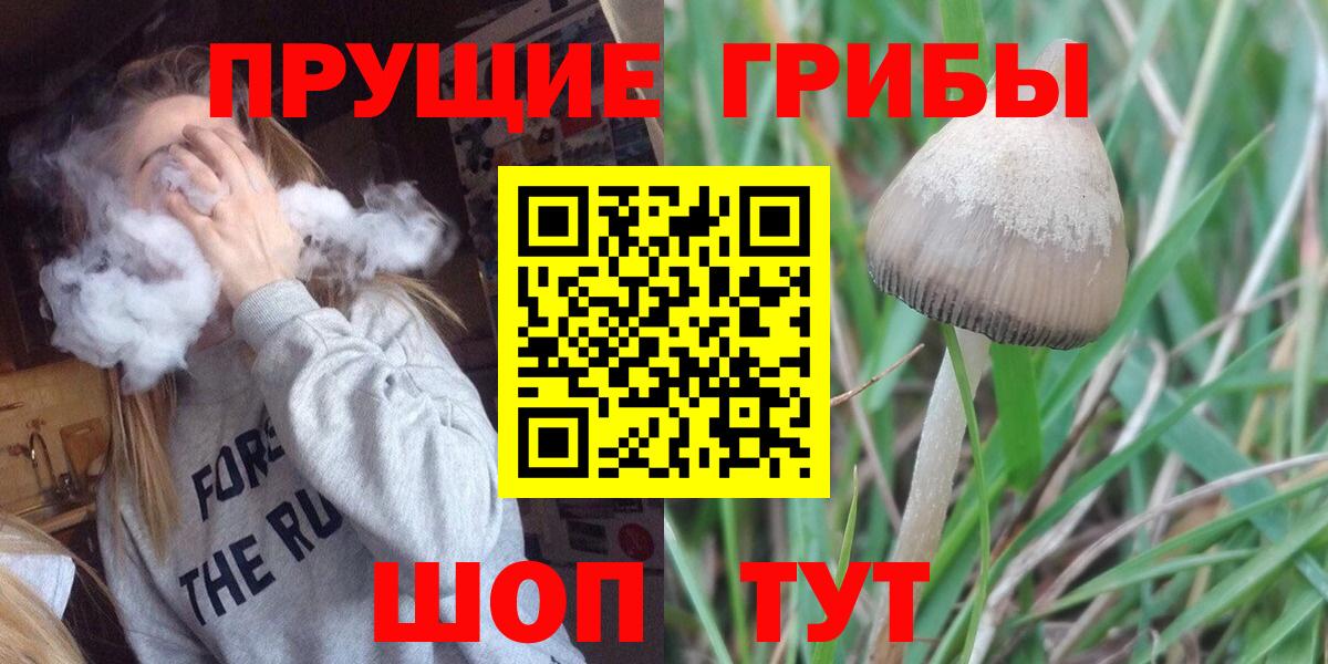 Псилоцибиновые грибы Psilocybe  закладки  Серпухов  Вход с VPN 